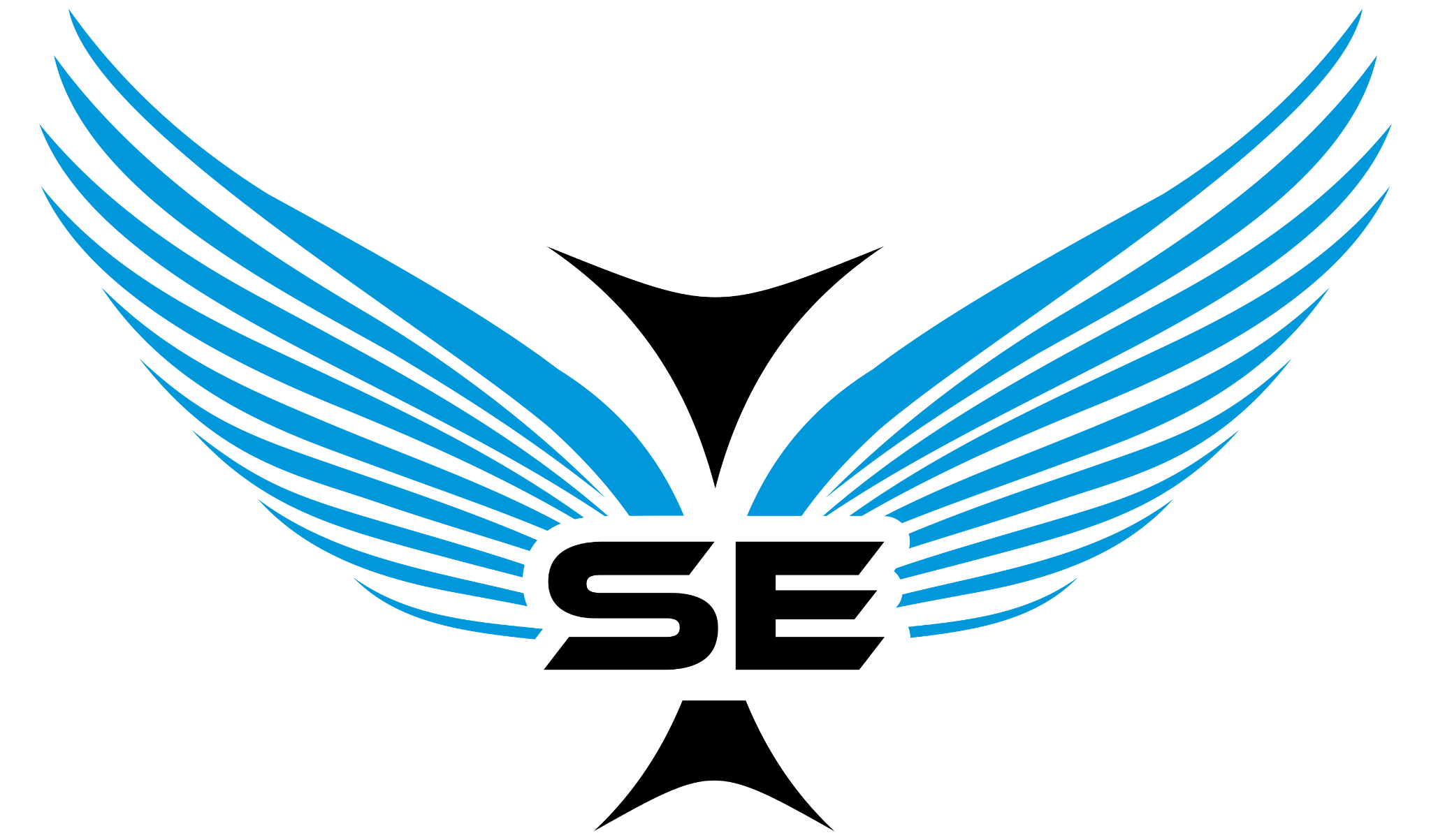 Skyeagle Technologies Logo